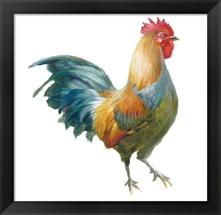 Framed Noble Rooster III on White Print