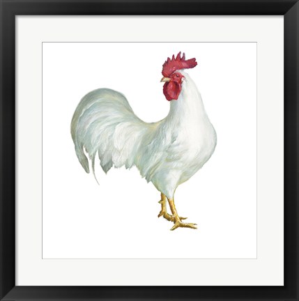 Framed Noble Rooster I on White Print