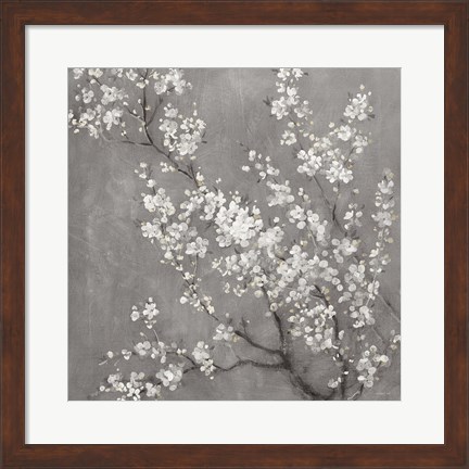 Framed White Cherry Blossoms II on Grey Crop Print