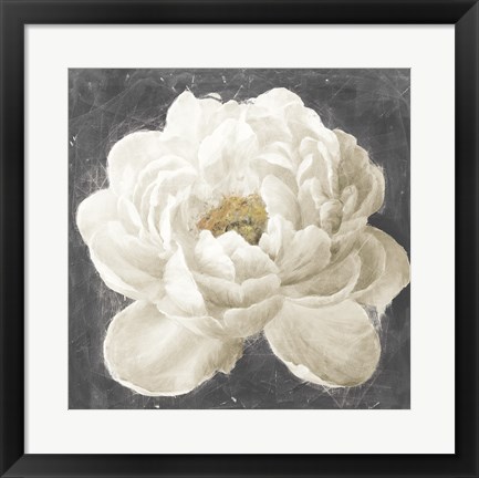 Framed Vivid Floral I White Flower Print