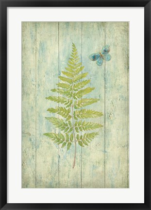 Framed Natural Floral XIII Butterfly Print