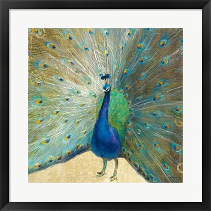 Framed Blue Peacock Cream Print