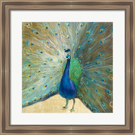 Framed Blue Peacock Cream Print