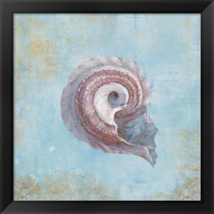 Framed Treasures from the Sea III Watercolor Print