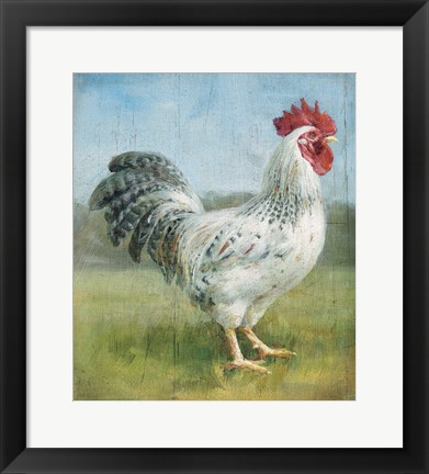 Framed Noble Rooster IV v.2 Vintage No Border Print