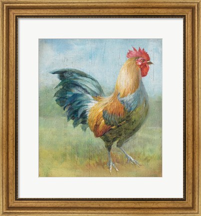 Framed Noble Rooster III Vintage No Border Print