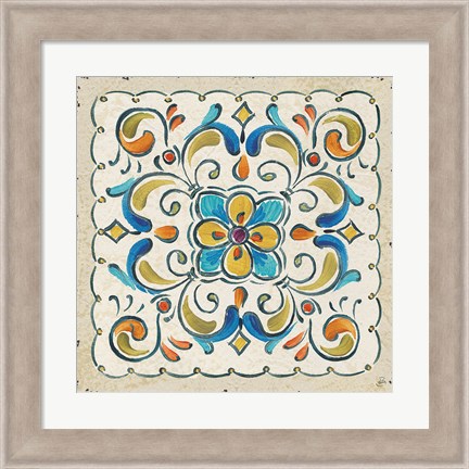 Framed Mediterranean Flair XIV Print