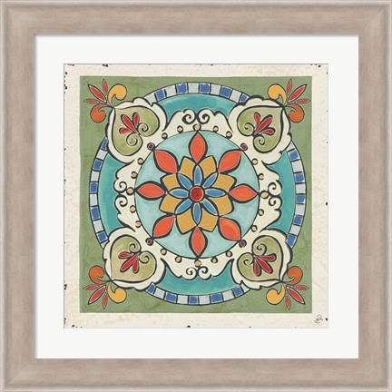 Framed Mediterranean Flair IX Print