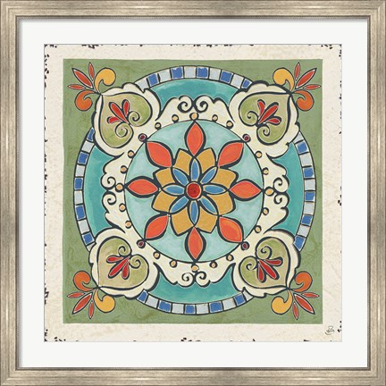 Framed Mediterranean Flair IX Print