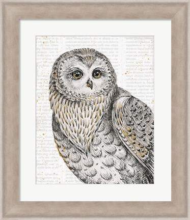 Framed Beautiful Owls IV Print