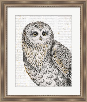 Framed Beautiful Owls IV Print