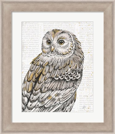 Framed Beautiful Owls III Print