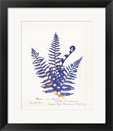 Framed Botanical Fern IV Blue Light Print