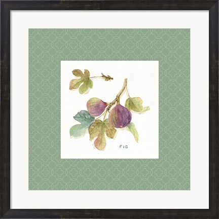 Framed Orchard Bloom III Border Print