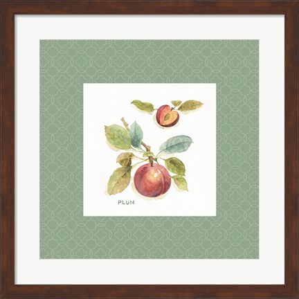 Framed Orchard Bloom IV Border Print