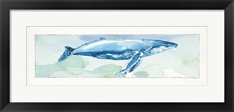 Framed Sea Life VI Print