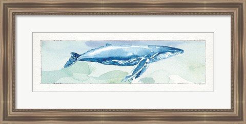 Framed Sea Life VI Print