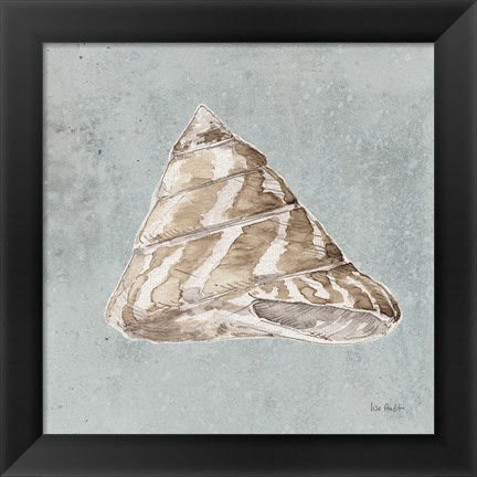 Framed Sand and Seashells IV Print