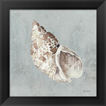 Framed Sand and Seashells II Print