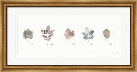 Framed Woodland Walk XV Print