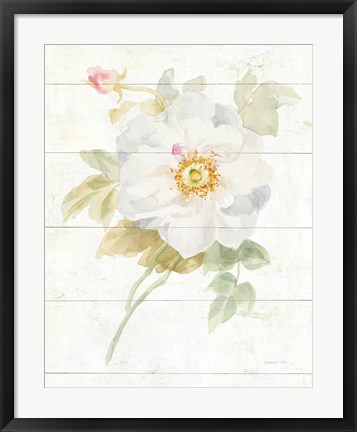 Framed June Blooms III Print