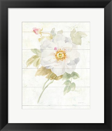 Framed June Blooms III Print