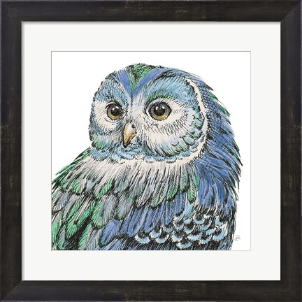 Framed Beautiful Owls I Peacock Crop Print