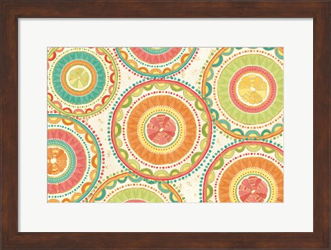 Framed Citrus Splash XIII Print