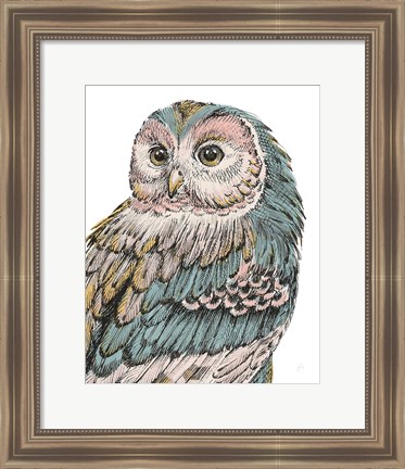 Framed Beautiful Owls I Pastel Print