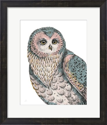 Framed Beautiful Owls IV Pastel Print