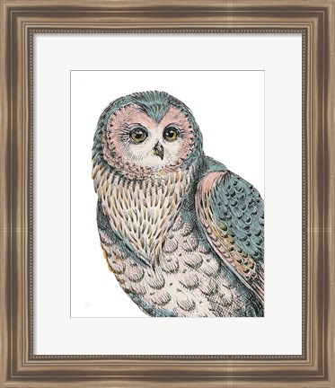 Framed Beautiful Owls IV Pastel Print