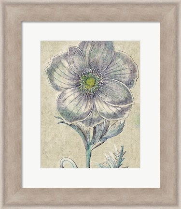 Framed Belle Fleur II Crop Linen Print