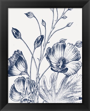 Framed Botanical Beauty Chalk IX Blue on White Crop Print