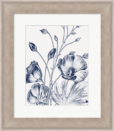 Framed Botanical Beauty Chalk IX Blue on White Crop Print