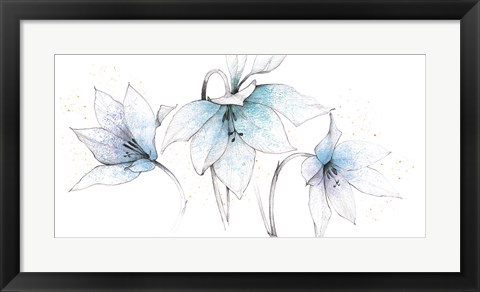 Framed Blue Graphite Floral Trio Print