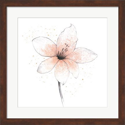 Framed Coral Graphite Flower II Print