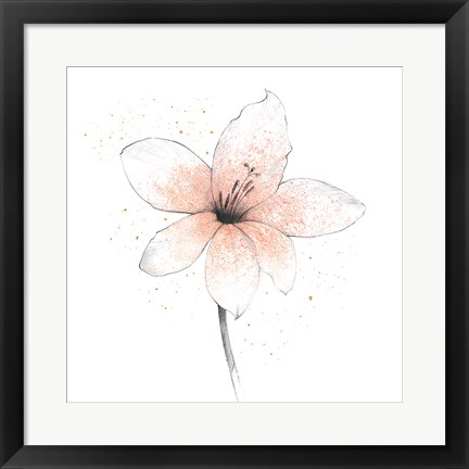 Framed Coral Graphite Flower II Print