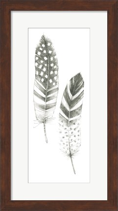 Framed Feather Sketches VIII Print