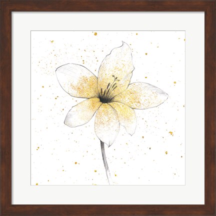 Framed Gilded Graphite Floral II Print