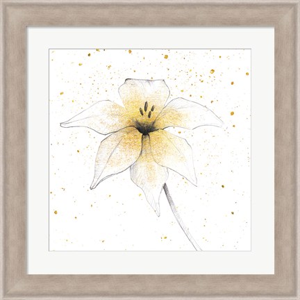 Framed Gilded Graphite Floral V Print