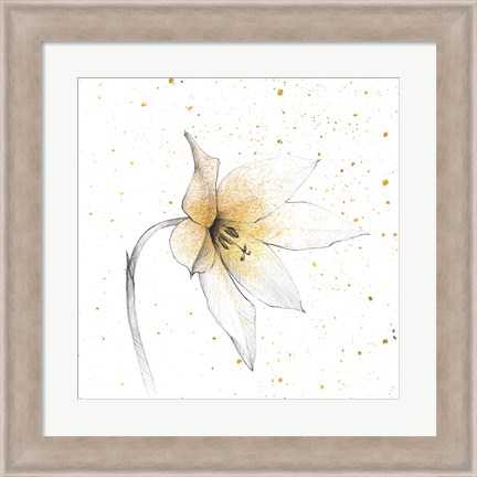 Framed Gilded Graphite Floral VIII Print