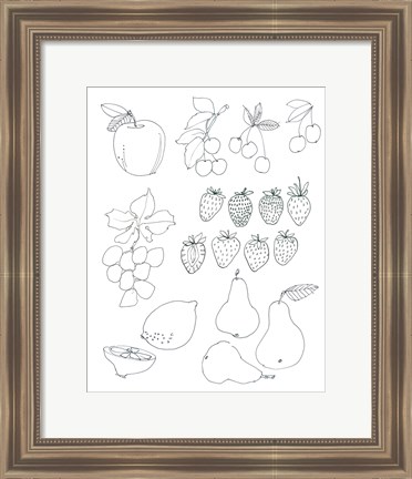 Framed Line Art Fruits Print