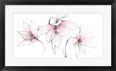 Framed Pink Graphite Floral Trio Print