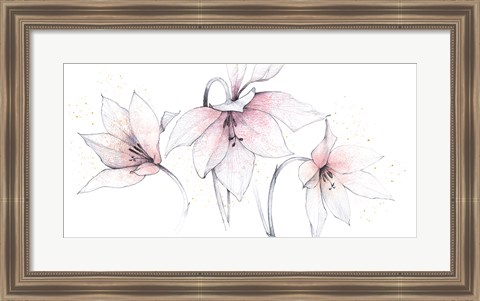 Framed Pink Graphite Floral Trio Print