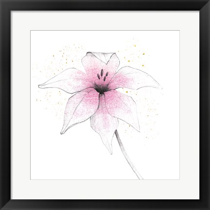 Framed Pink Graphite Flower V Print