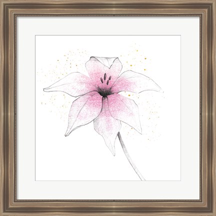 Framed Pink Graphite Flower V Print