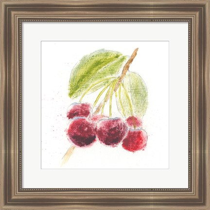 Framed Garden Delight III Print