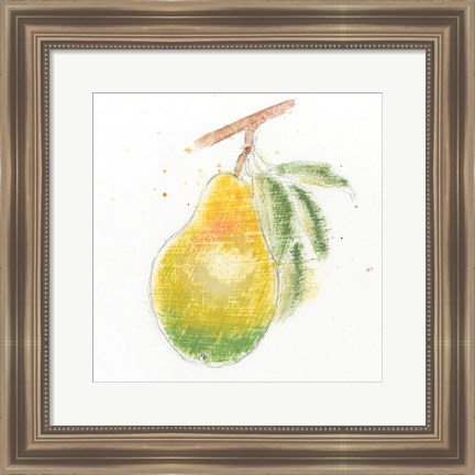 Framed Garden Delight V Print