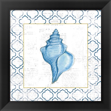 Framed Navy Conch Shell on Newsprint with Gold Print