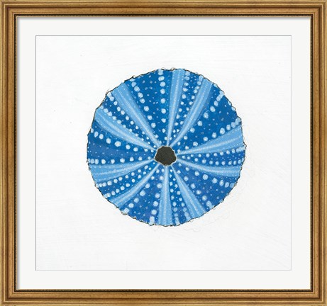 Framed Navy Circular Shell Print